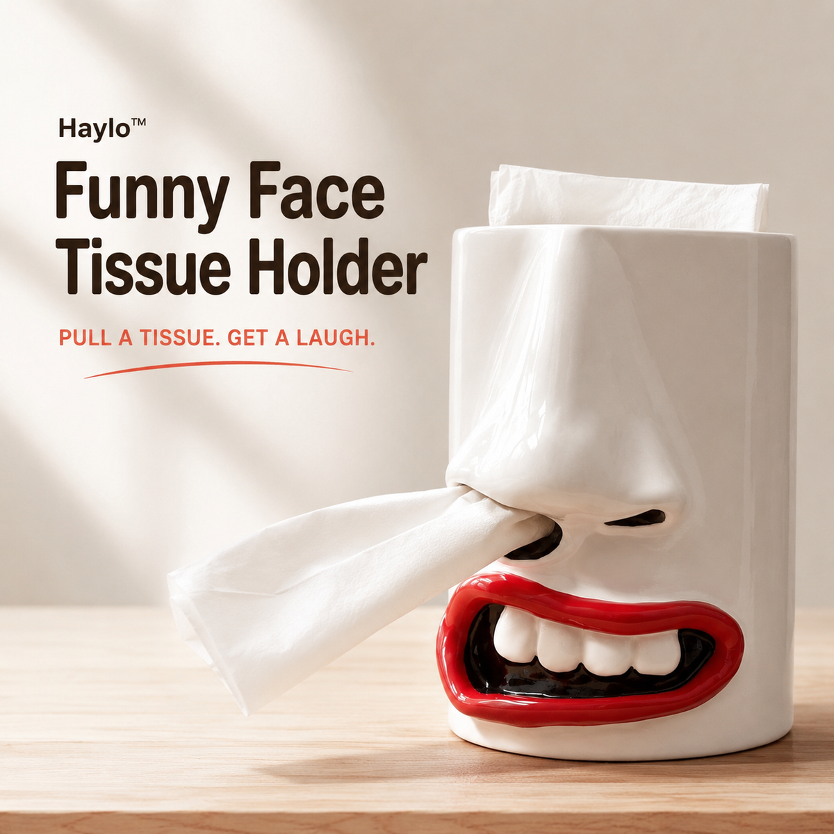 Haylo™ Funny Face Tissue Holder