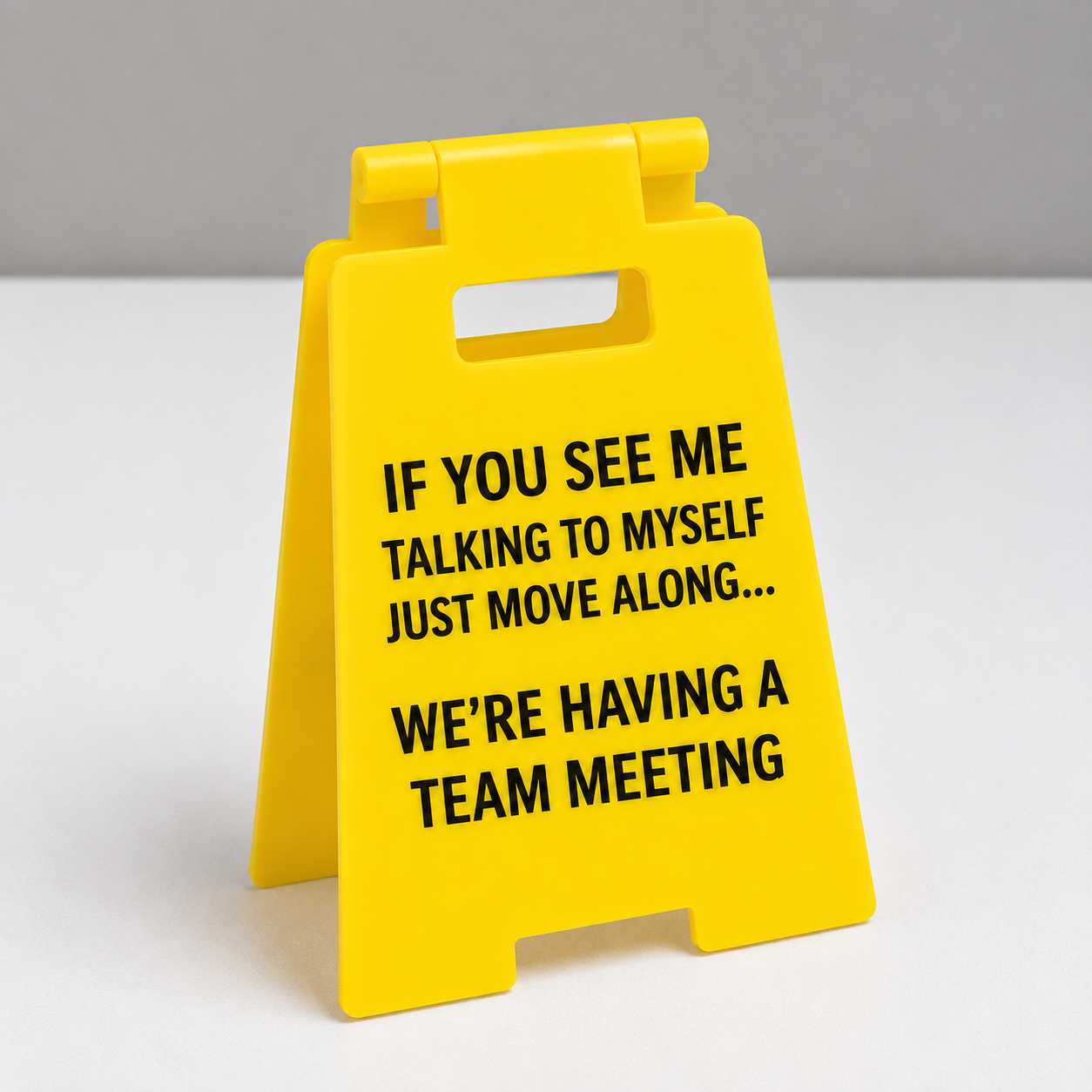 Haylo™ Funny Desk Sign (Buy 2 Get 1 FREE)