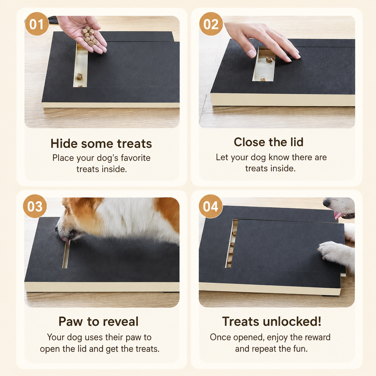 Interactive Dog Nail Scratch Board