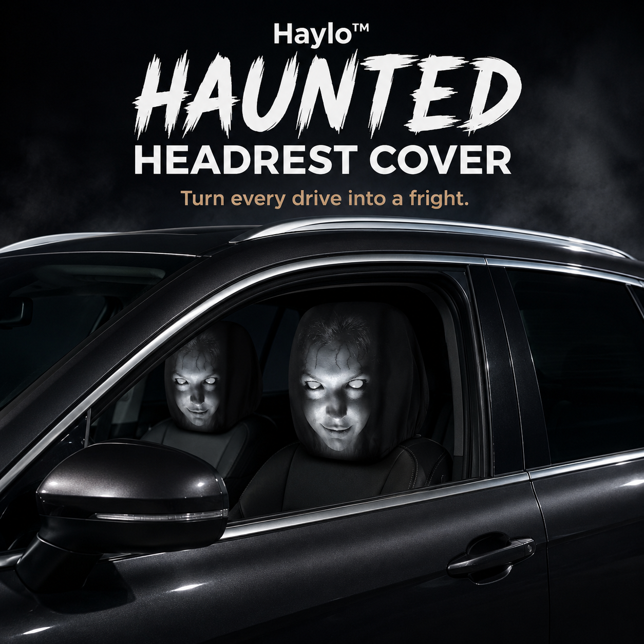 Haylo™ Haunted Headrest Cover