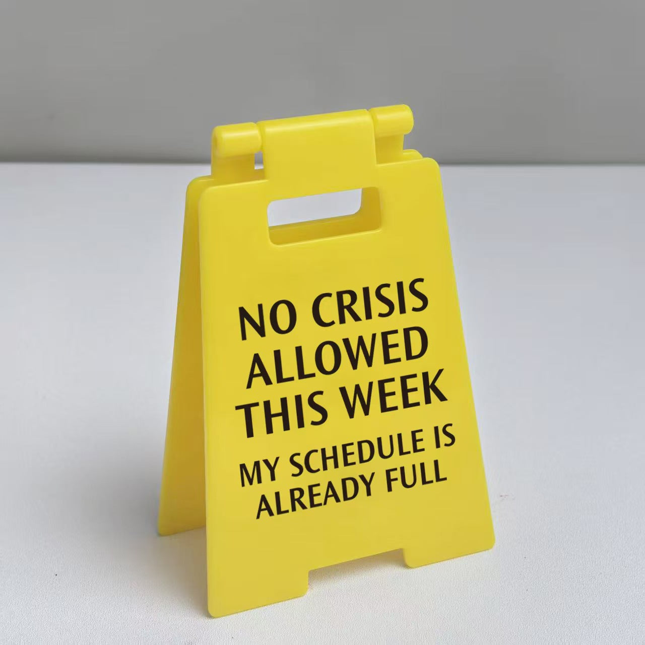Haylo™ Funny Desk Sign (Buy 2 Get 1 FREE)