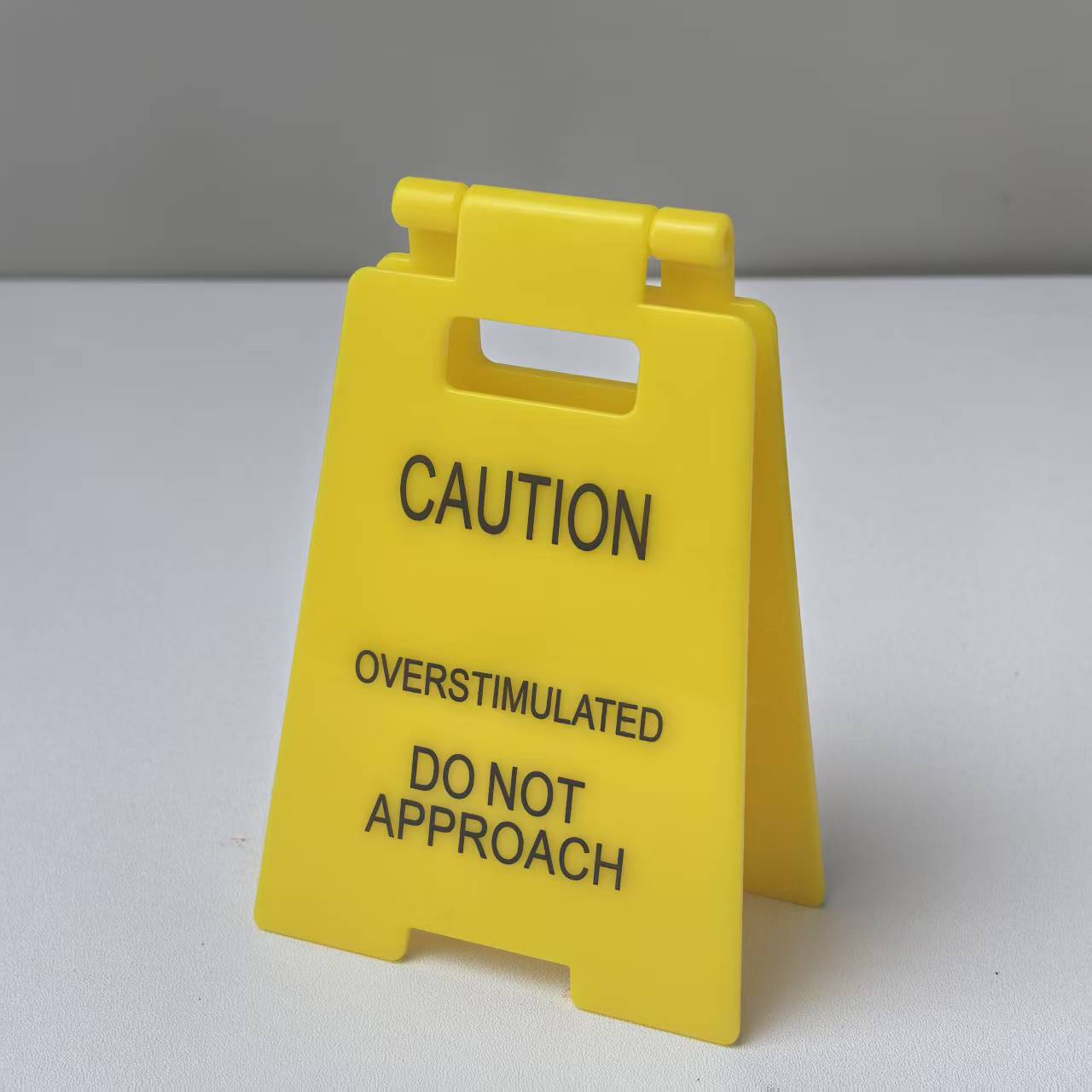 Haylo™ Funny Desk Sign (Buy 2 Get 1 FREE)